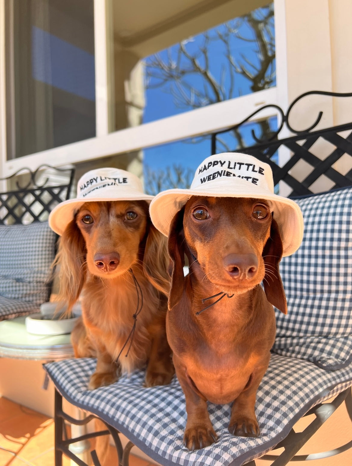 Happy Little Weeniemite Dog Bucket Hat